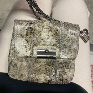 Snake skin Coach chain bag